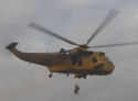 Sea king